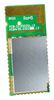 MICROCHIP BM20SPKS1NBC-0001AA
