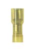 PANDUIT DNF10-250FI-L