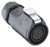 LUMBERG 026520 02