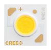 CREE LED CXB1304-0000-000C0HC230G