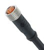 LUTRONIC 0800 04 301 5M