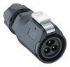 LUTRONIC 2450 03 T09CB T