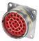 CINCH CONNECTIVITY SOLUTIONS BACC63BV24B61PN