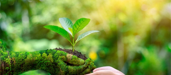 Environnement